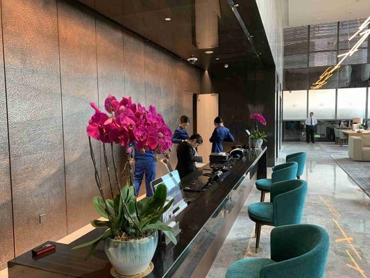 Bộ đồ nội thất bằng gỗ đặc ASCOTT Bộ phòng khách cho căn hộ ODM
