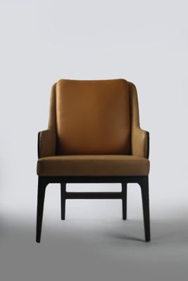 Ghế ghế sofa ngồi hiện đại cho ngôi nhà sang trọng / trang trí ấm